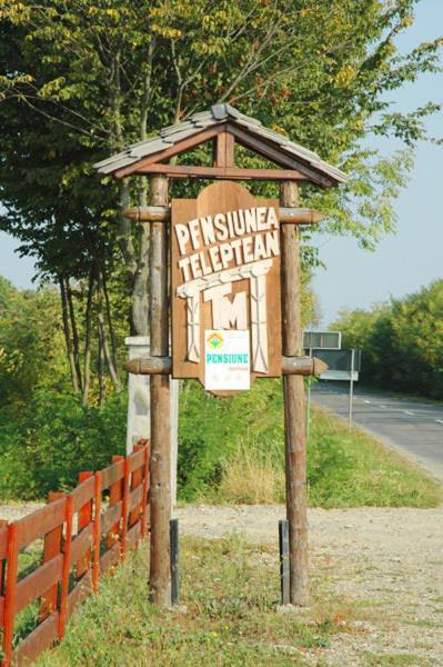 Pension Teleptean Окна-Шугатаг Экстерьер фото